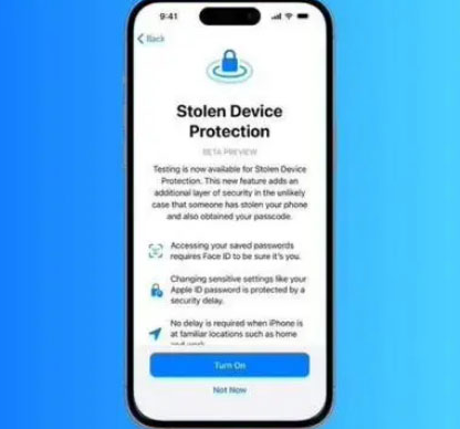 湘东苹果授权维修店分享被盗设备保护功能开启方法 