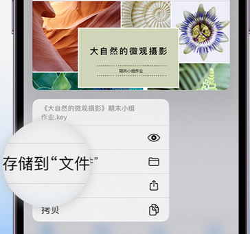 湘东apple维修中心分享iPhone文件应用中存储和找到下载文件