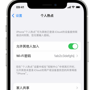 湘东apple服务站点分享iPhone上个人热点丢失了怎么办 