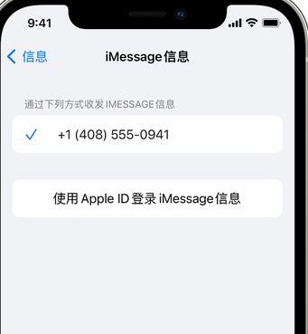 湘东apple维修iPhone上无法正常发送iMessage信息 