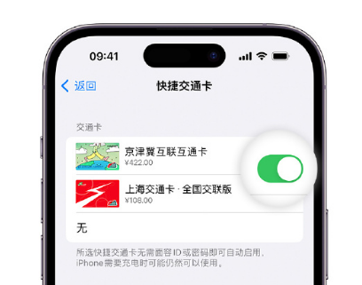 湘东apple维修点分享iPhone上更换Apple Pay快捷交通卡手绘卡面 