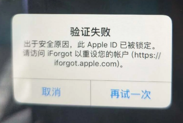 湘东iPhone维修分享iPhone上正常登录或使用AppleID怎么办 