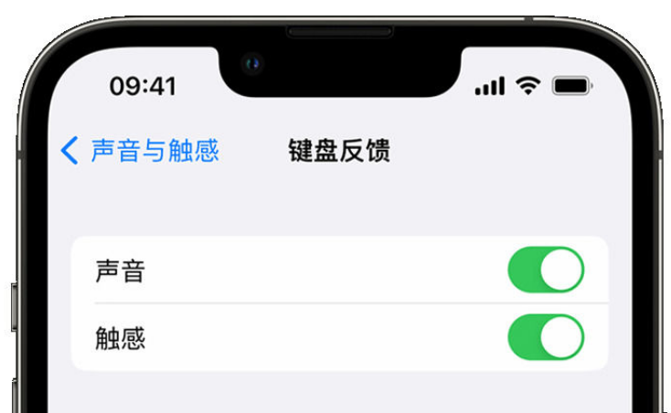 湘东苹果手机维修分享iPhone 14触感键盘使用方法 