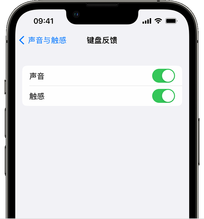 湘东苹果14维修店分享如何在 iPhone 14 机型中使用触感键盘 