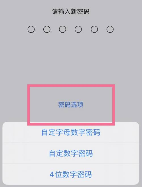 湘东苹果14维修分享iPhone 14plus设置密码的方法 