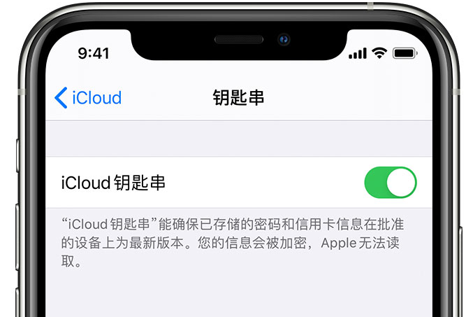 湘东苹果手机维修分享在 iPhone 上开启 iCloud 钥匙串之后会储存哪些信息 