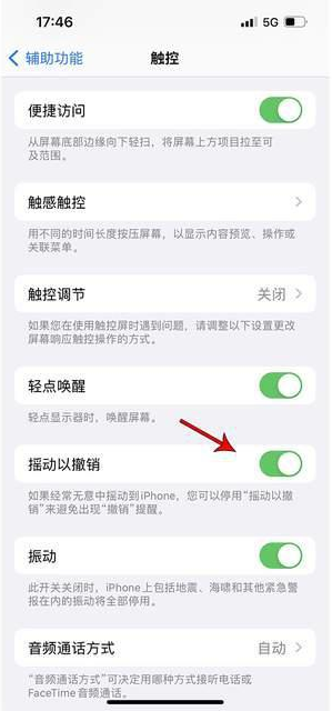 湘东苹果手机维修分享iPhone手机如何设置摇一摇删除文字 